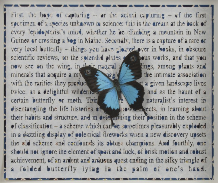 Jane Hammond, Four Ways to Blue, 2006, printed, cut and collaged papers, 10 ½ x 12 inches (26.7 x 30.5 cm). Published by Two Palms, New York. © Jane Hammond / Photo: Laura Mitchell